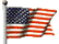 USA Flag link to .com site